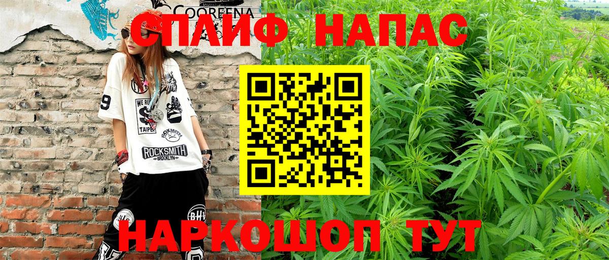 Шишки марихуана семена Владикавказ